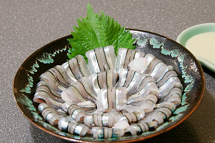 A dish of banded blue sprat sashimi