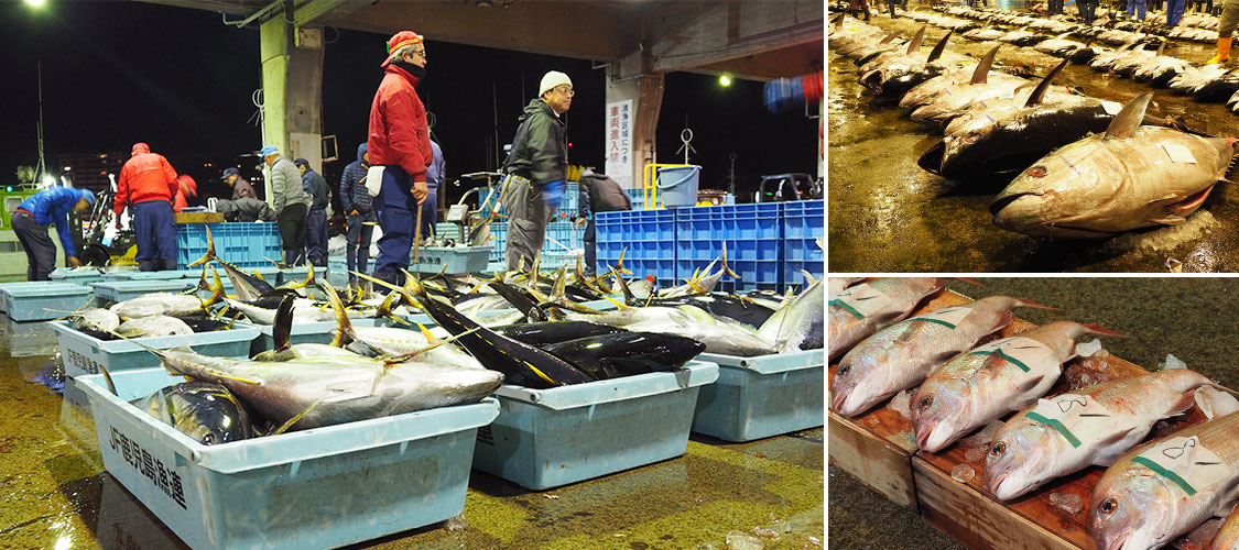 午前6時 鹿児島魚類市場にならぶ鮮魚