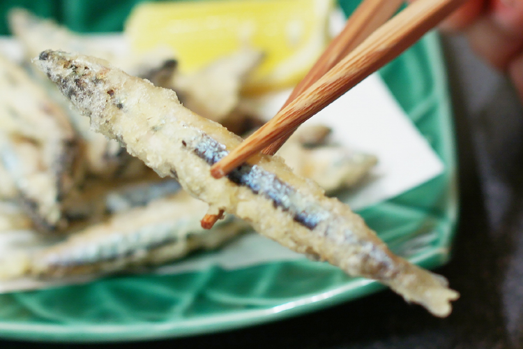 Banded blue sprat