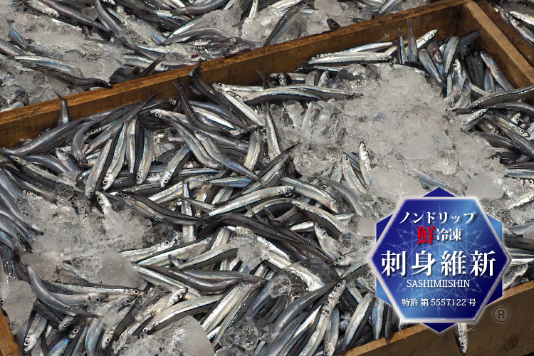 Banded blue sprat in Kagoshima fish market