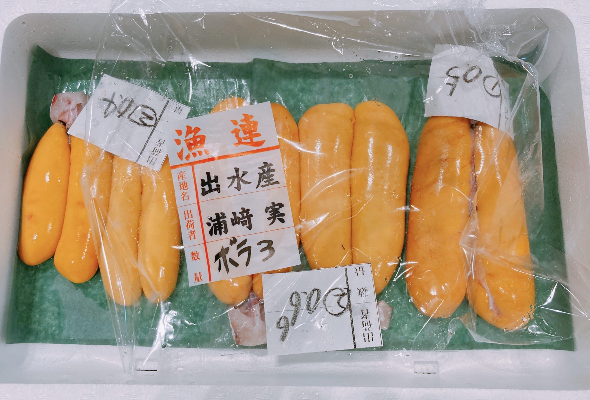 ボラの卵上がってます！ 津曲商店